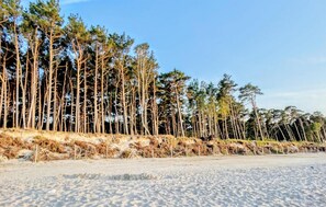 In Strandnähe, Angeln