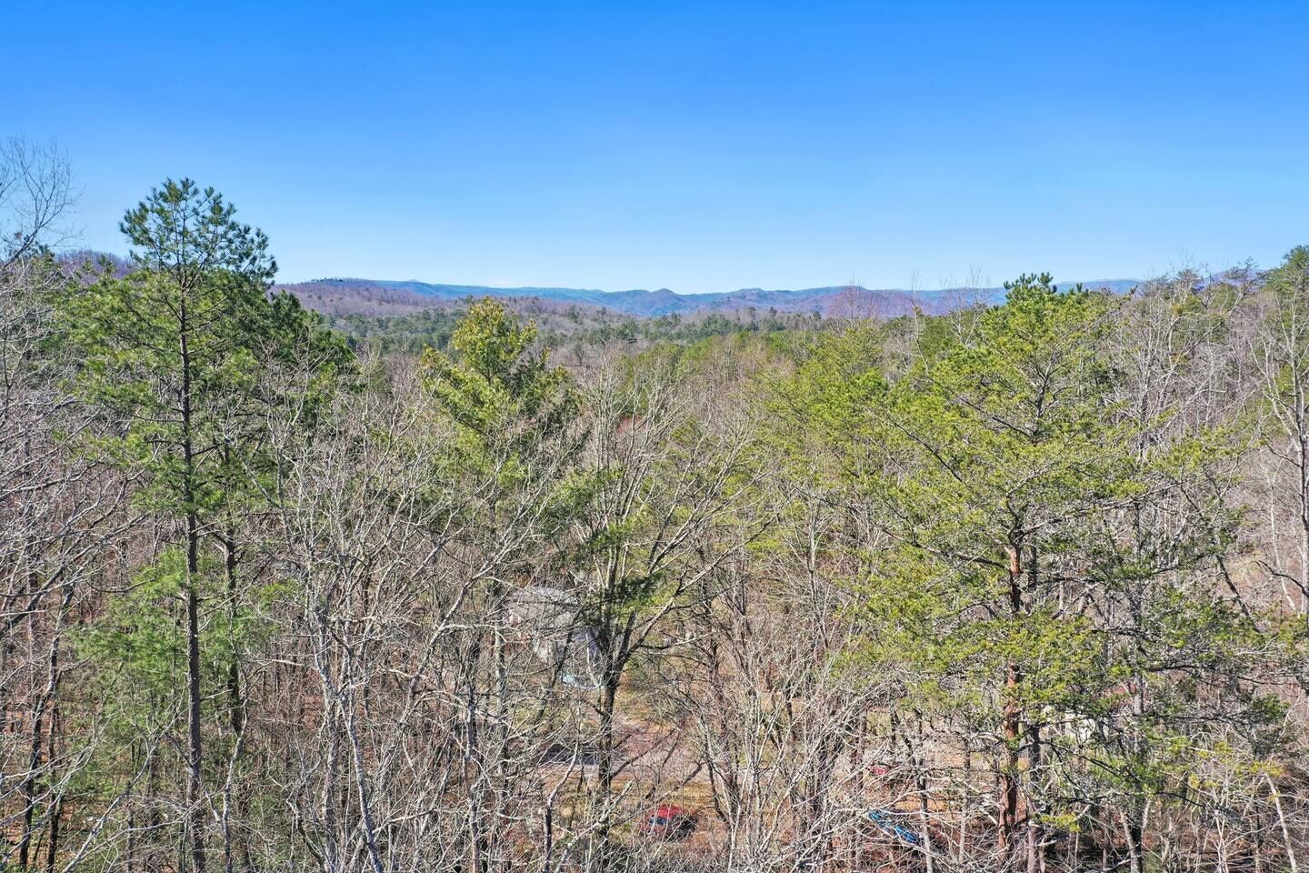 A forested landscape with a clear sky.