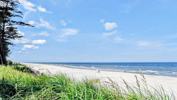 A beach with a clear sky, grassy dunes, and the ocean. - Nice apartment in Kopalino with WiFi (Kopalino)