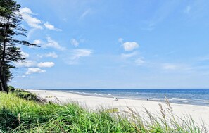 A beach with a clear sky, grassy dunes, and the ocean. - Nice apartment in Kopalino with WiFi (Kopalino)