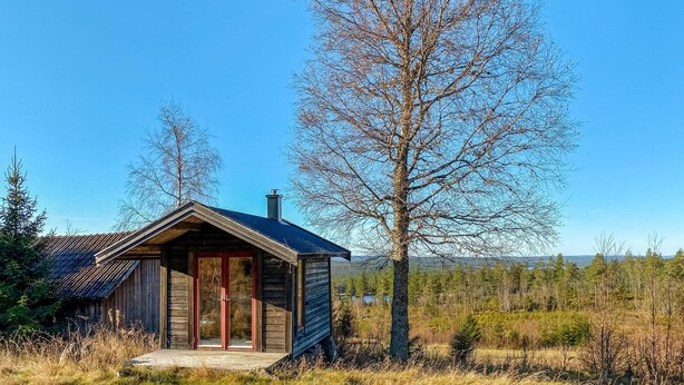 Een klein houten blokhut met schuin dak en schoorsteen, gelegen in een natuurrijk landschap met bomen en een heldere lucht.