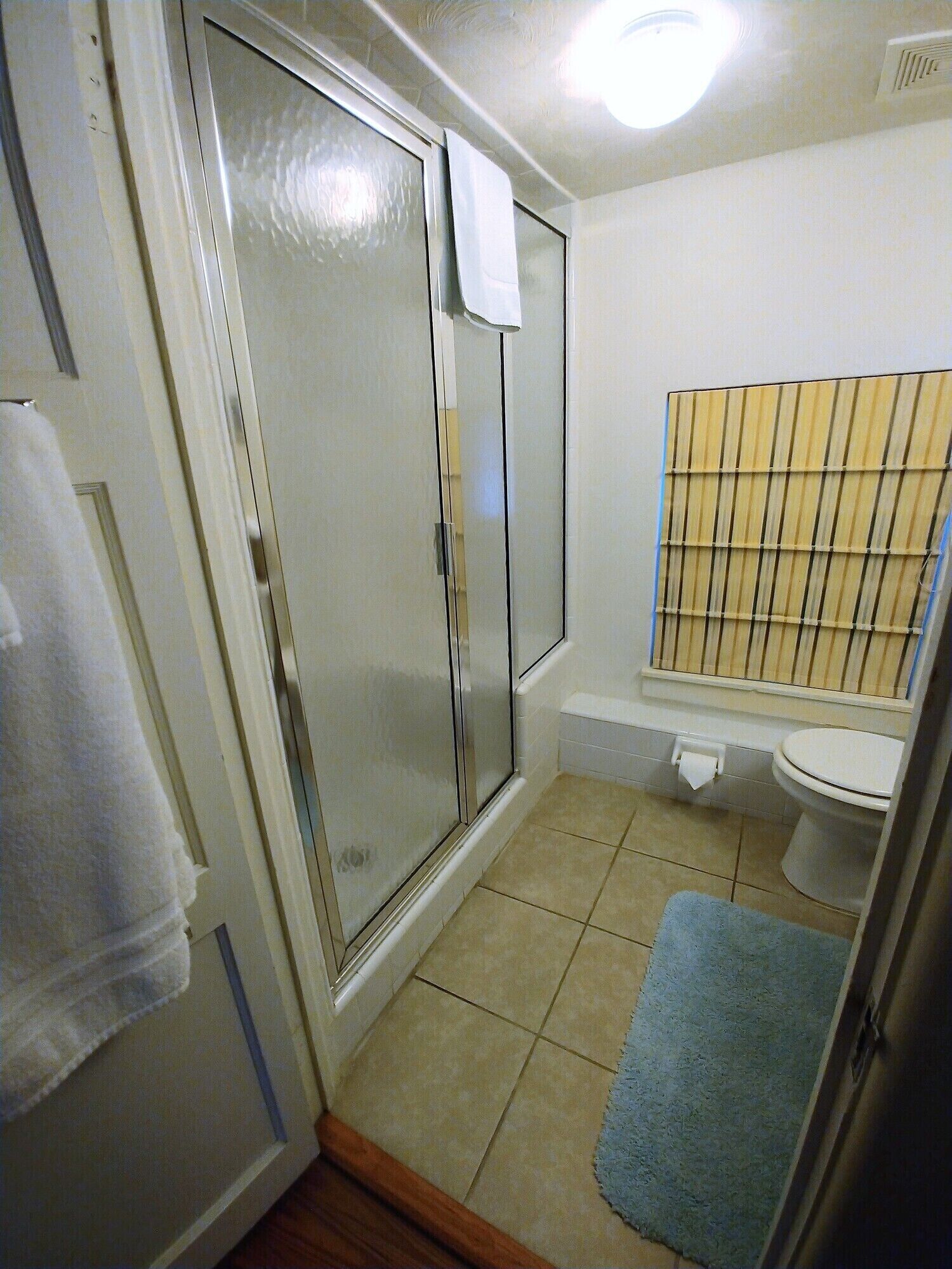 Une salle de bain avec douche, toilettes et lavabo.