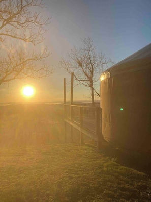 Property grounds - Cherry Blossom Yurt on Lookout Mountain (Rising Fawn)