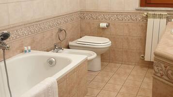 Combined shower/tub, hair dryer, bidet, towels