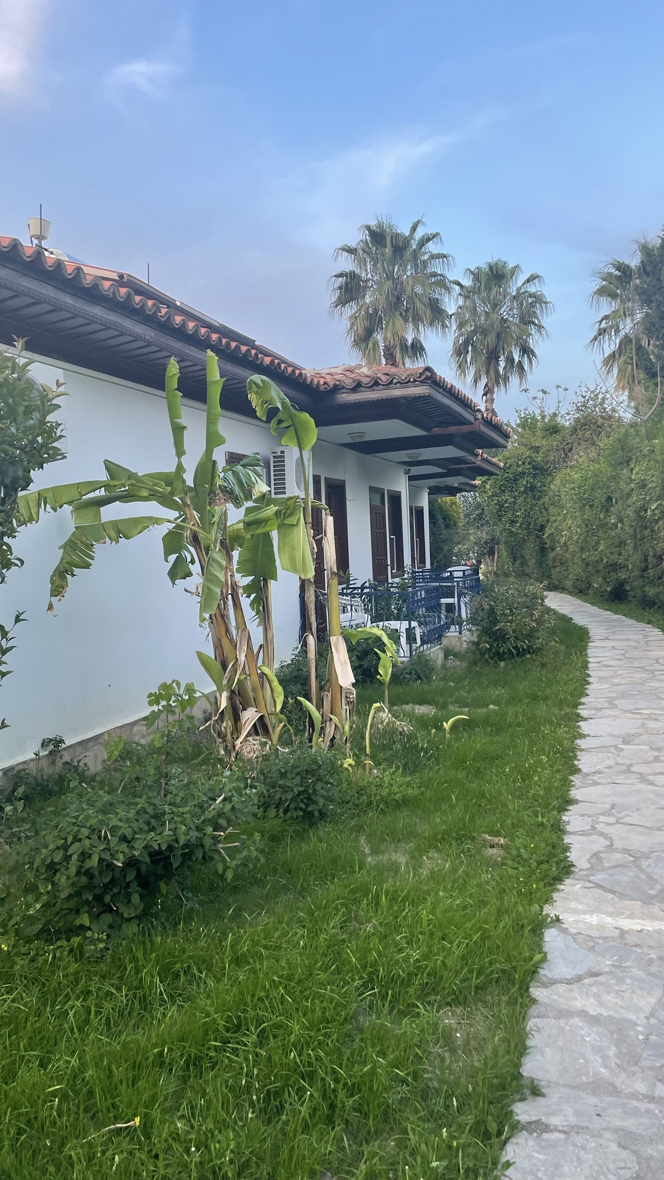 A house with a tiled roof, a paved pathway, and lush greenery including banana plants and palm trees.