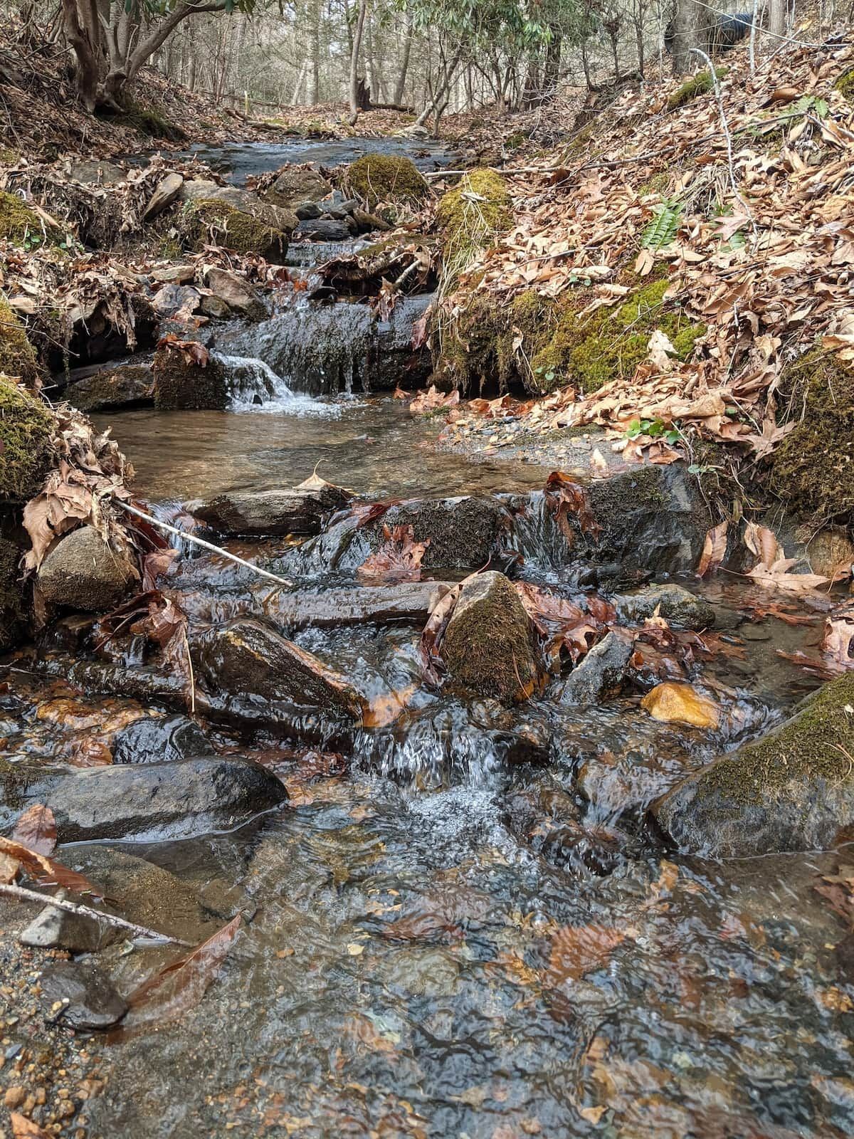 A natural outdoor setting with a stream flowing over rocks, surrounded by fallen leaves and forested area.