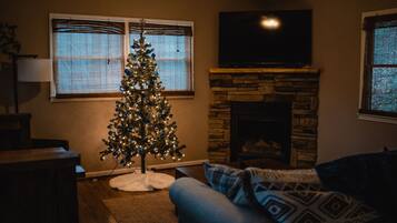 智能电视、壁炉、DVD 播放器、书