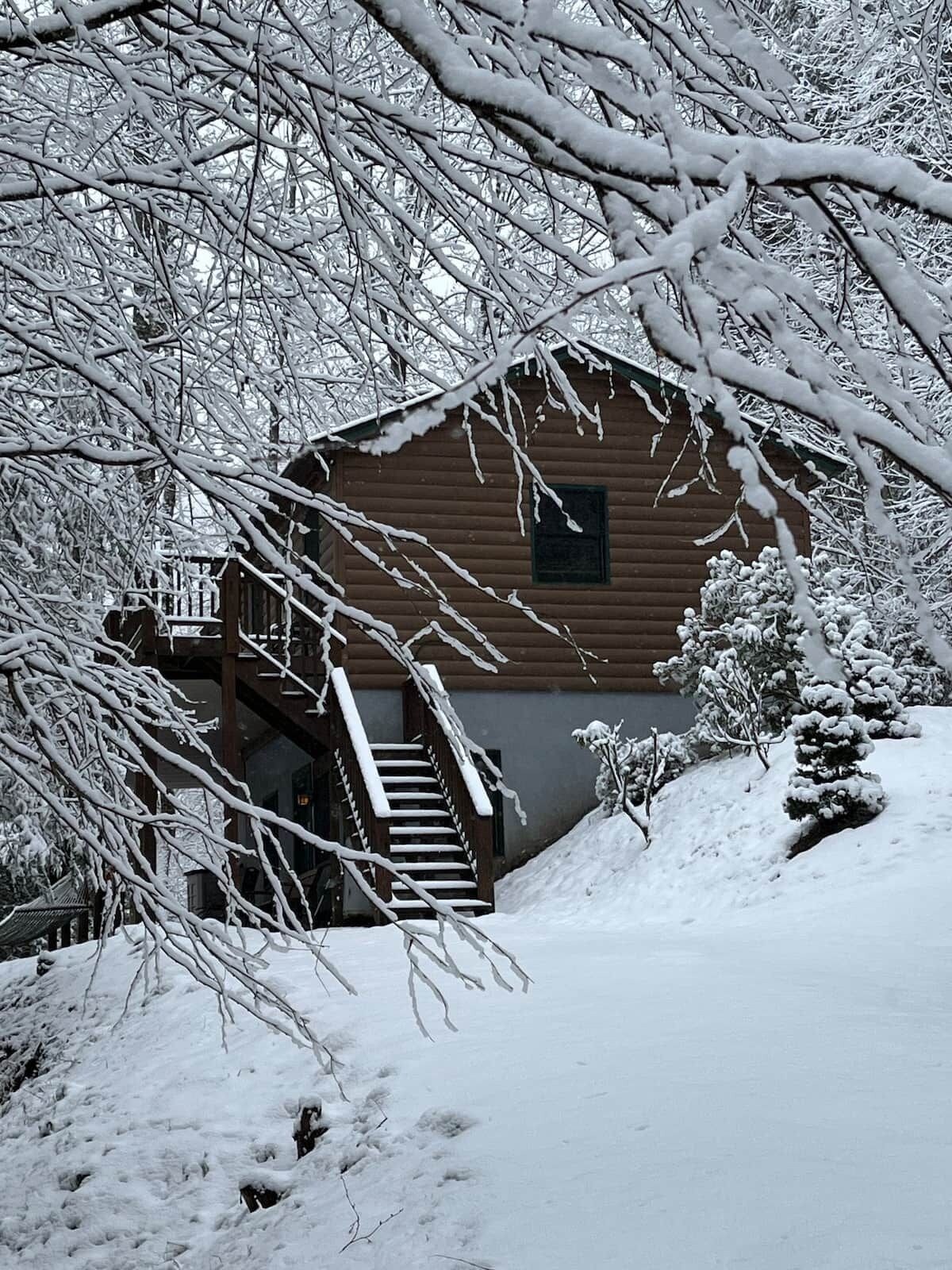 A wooden cabin with a staircase leading to a porch, surrounded by snow-covered trees.