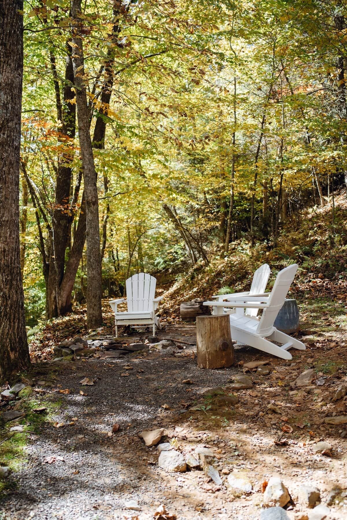 Zona boscosa con un espacio de descanso que incluye dos sillas Adirondack y una mesita, rodeado de árboles y vegetación natural.