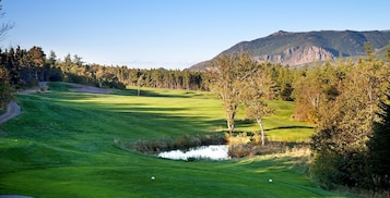 Golfe