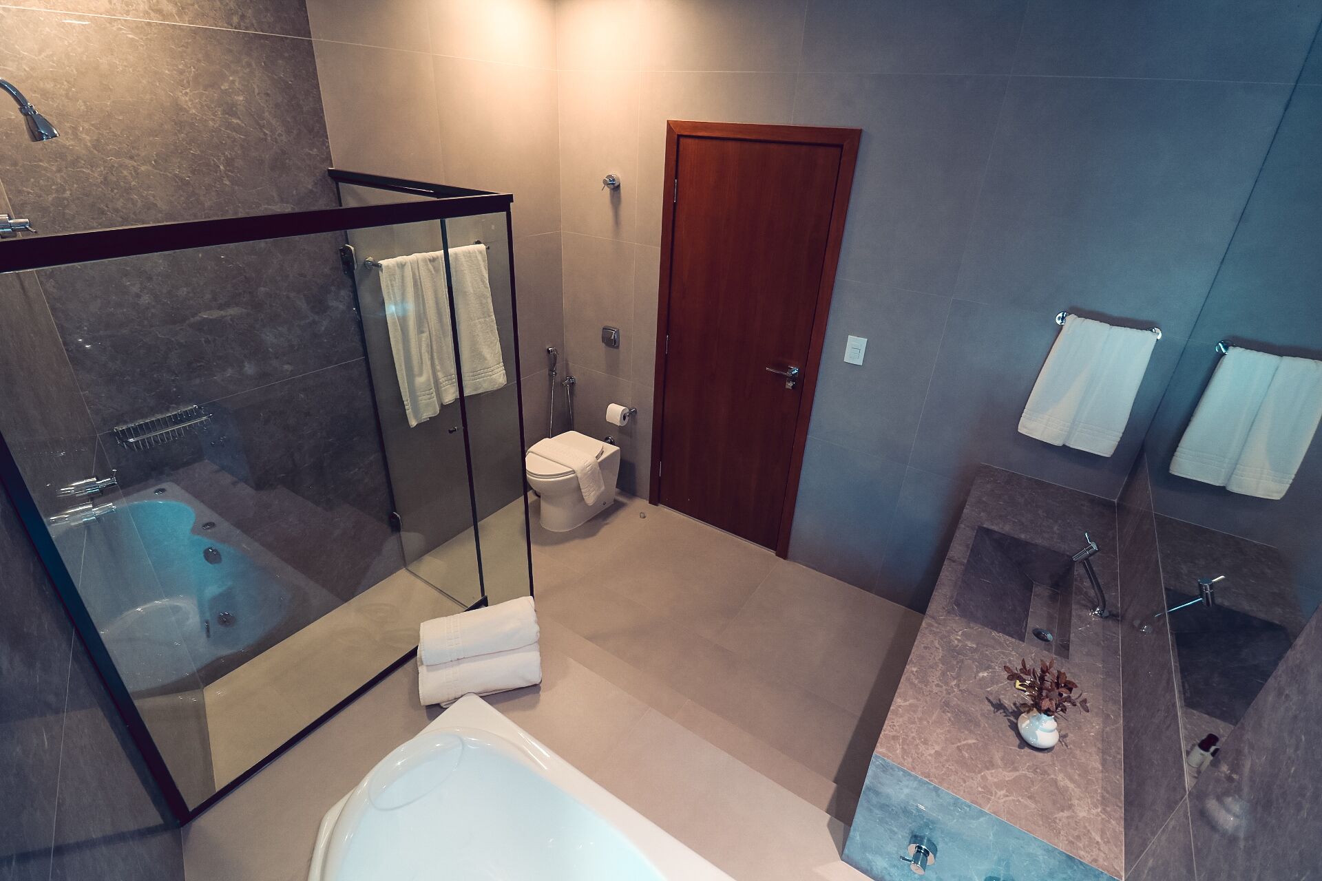 A modern bathroom with a glass-enclosed shower, a toilet, and a bathtub.
