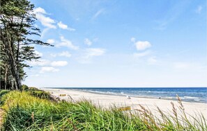 Ein Strand mit blauem Himmel, grasbewachsenen Dünen und dem Meer.