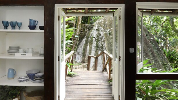 Una escalera de madera que lleva a una terraza de madera rodeada de abundante vegetación.