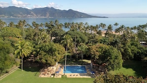 Una piscina rodeada de palmeras y vista al océano.