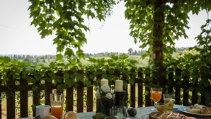 Een picknickopstelling met eten en drinken op een tafel, omringd door groen en een houten hek.