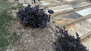 A stone pathway leading to a wooden deck with outdoor seating.