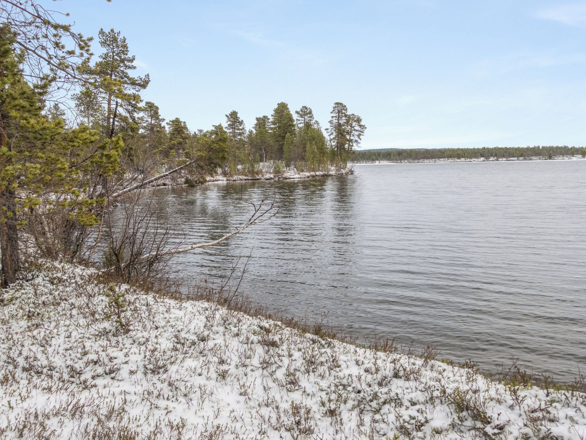 Een besneeuwde kustlijn met een rustig meer en bomen op de achtergrond.