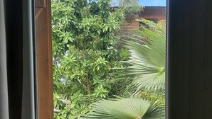 A view through a window with a wooden frame, revealing a garden with various plants, including a large tree and palm leaves.