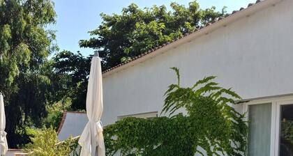 A Teppa - le Caroubier