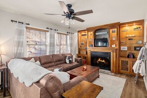 TV, fireplace, books