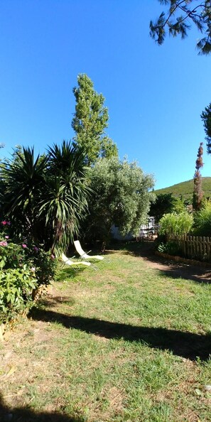 Property grounds - A Teppa - Le figuier with terrace (Luri)