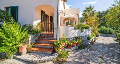 APP.TI FILETTO - FILETTO - EDERA