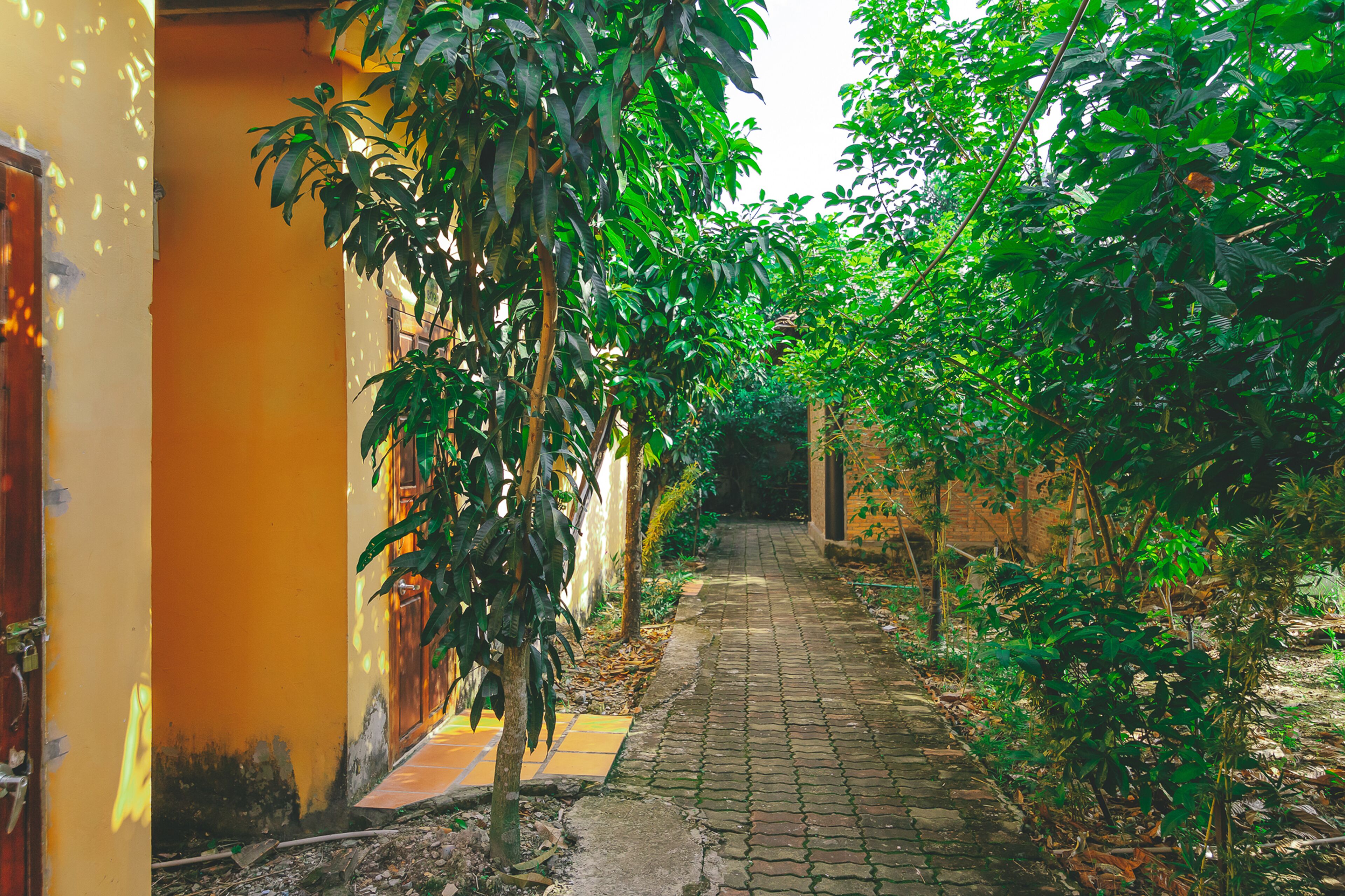 family room | garden view
