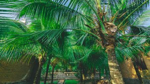 Garden - Casa Eco Mekong Homestay (Can Tho)