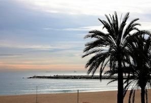 Una playa con una palmera, un muelle y aguas tranquilas.