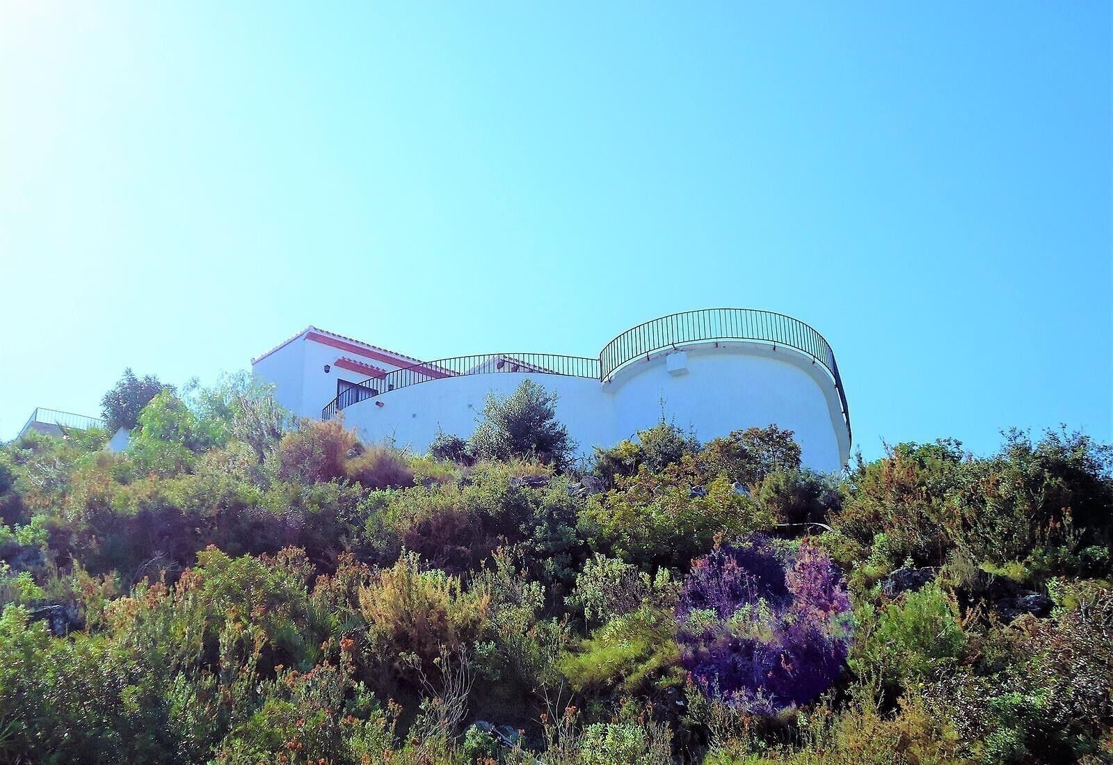 Ein modernes Gebäude mit gewölbter Dachform, umgeben von dichter Vegetation.