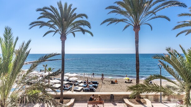 A beachside view with palm trees, lounge chairs, and a bench. - Apartment 'Great First Line Amazing Terrace' with Sea View, Wi-Fi and Air Conditioning (Marbella)