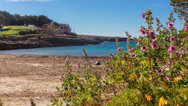 Un paysage côtier avec une maison, un ciel bleu dégagé et une côte rocheuse.