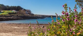 Vakantiehuis met zeezicht, mooi privéterras naast het strand