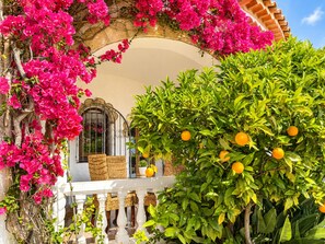 Un balcon doté d’une balustrade en fer forgé, d’une balustrade blanche et d’une arche en pierre ornée de fleurs de bougainvillier roses.