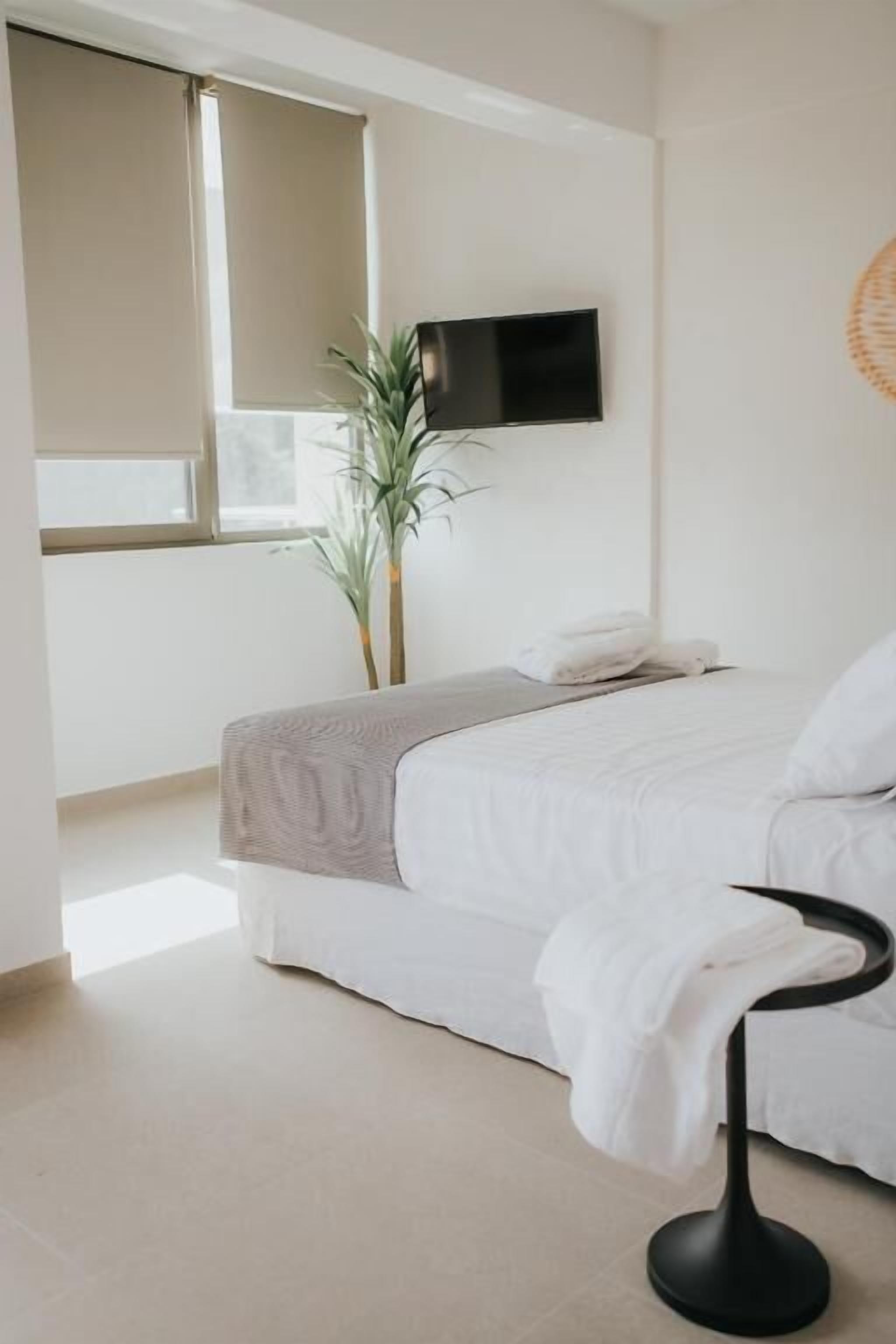 Un dormitorio moderno con cama, televisor montado en la pared, planta en maceta y ventana con persianas.