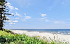 Ein Strand mit blauem Himmel, grasbewachsenen Dünen und dem Meer.