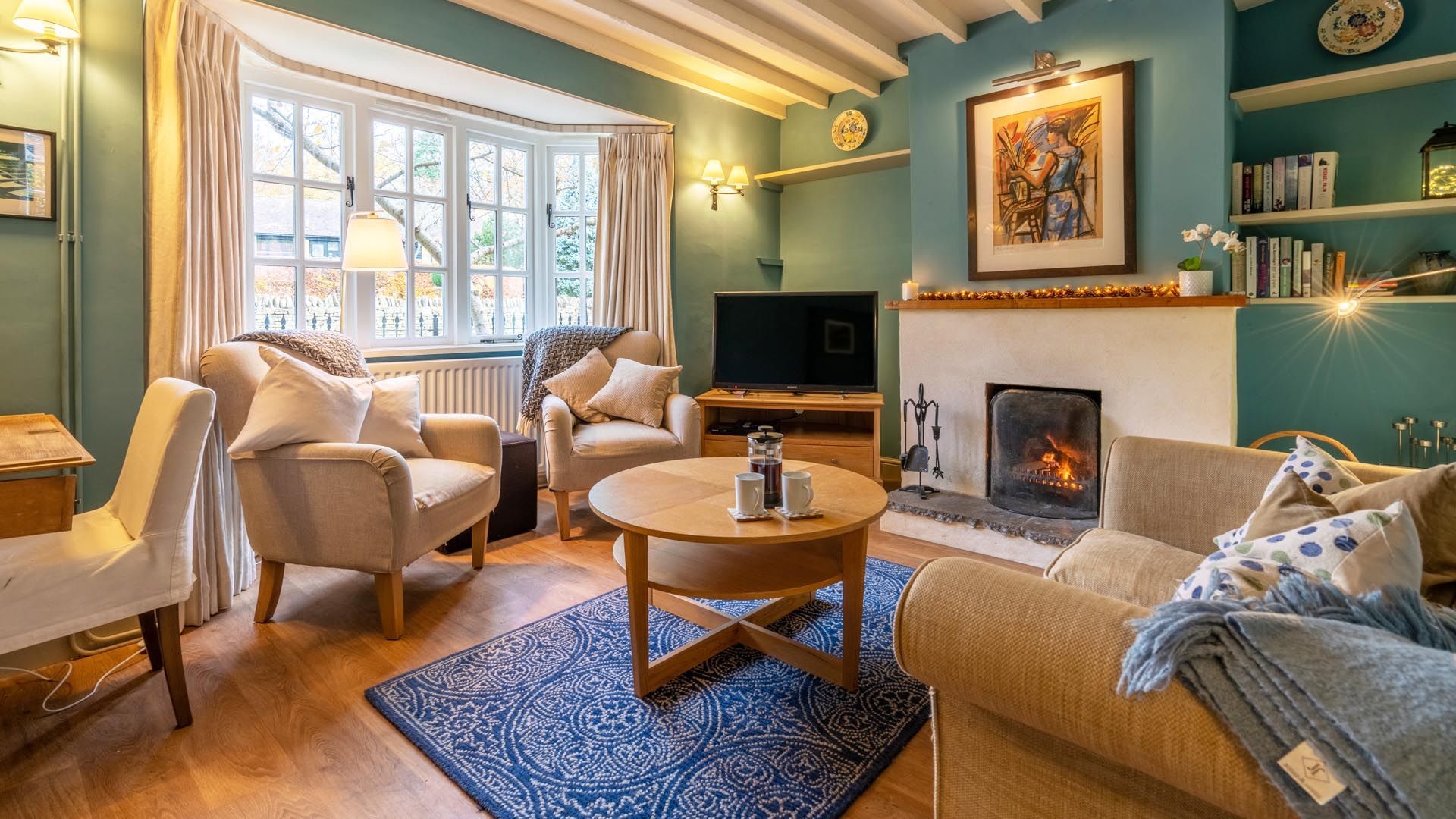 TV, fireplace, DVD player