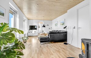 Fernseher, Kamin