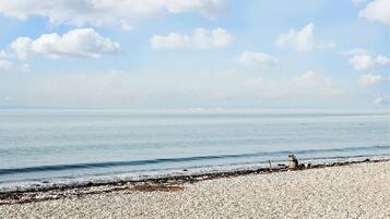 Tæt på stranden, fiskeri