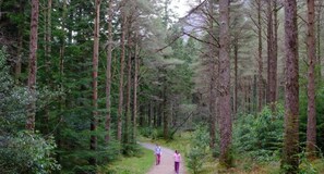 Apartment, Mehrere Betten | Unterkunftsgelände