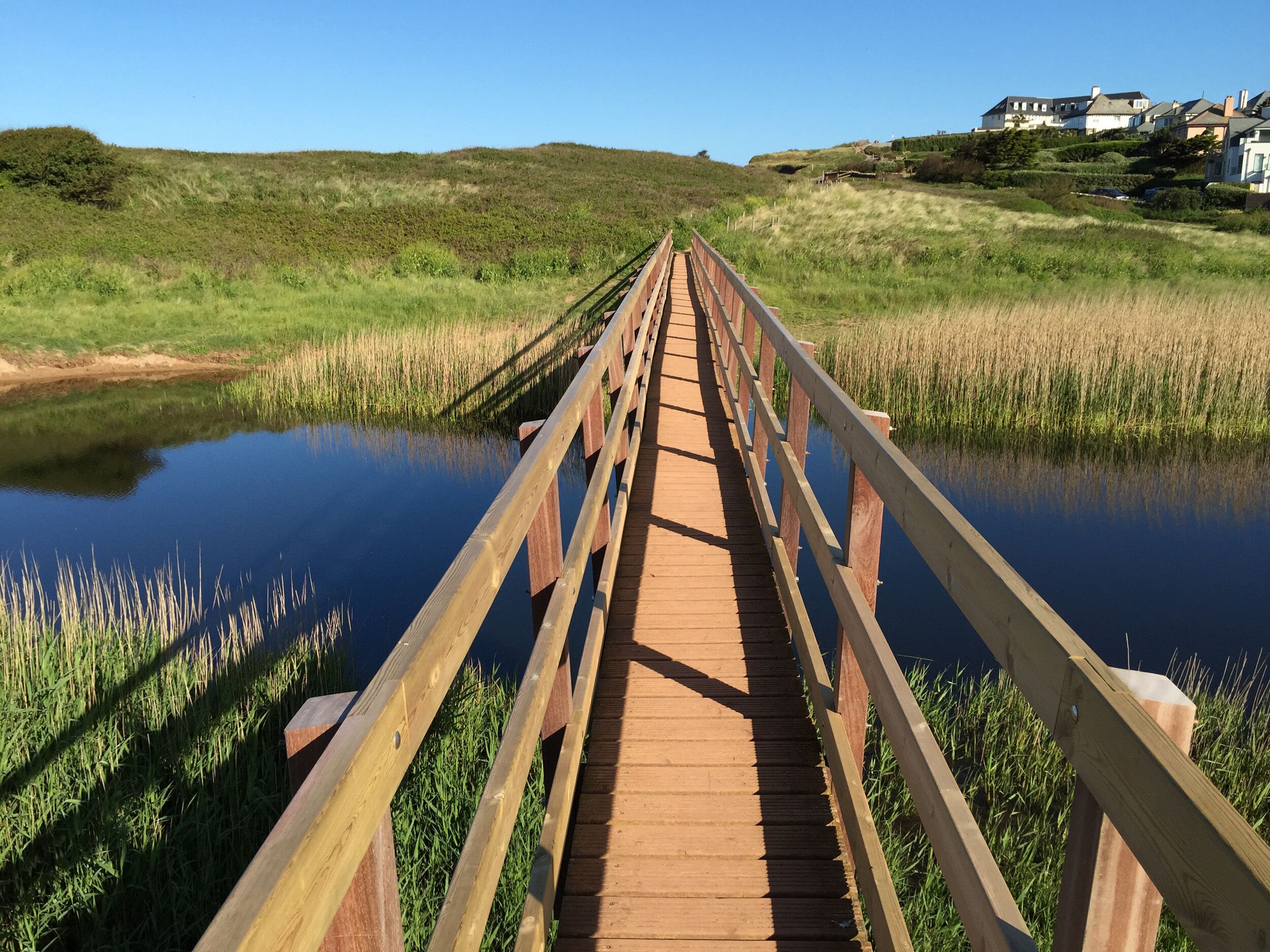 A wooden bridge over a calm body of water with grassy banks, leading to a residential area with houses.