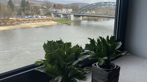 Vista de un río con un puente, plantas en macetas en un alféizar y un cielo nublado.