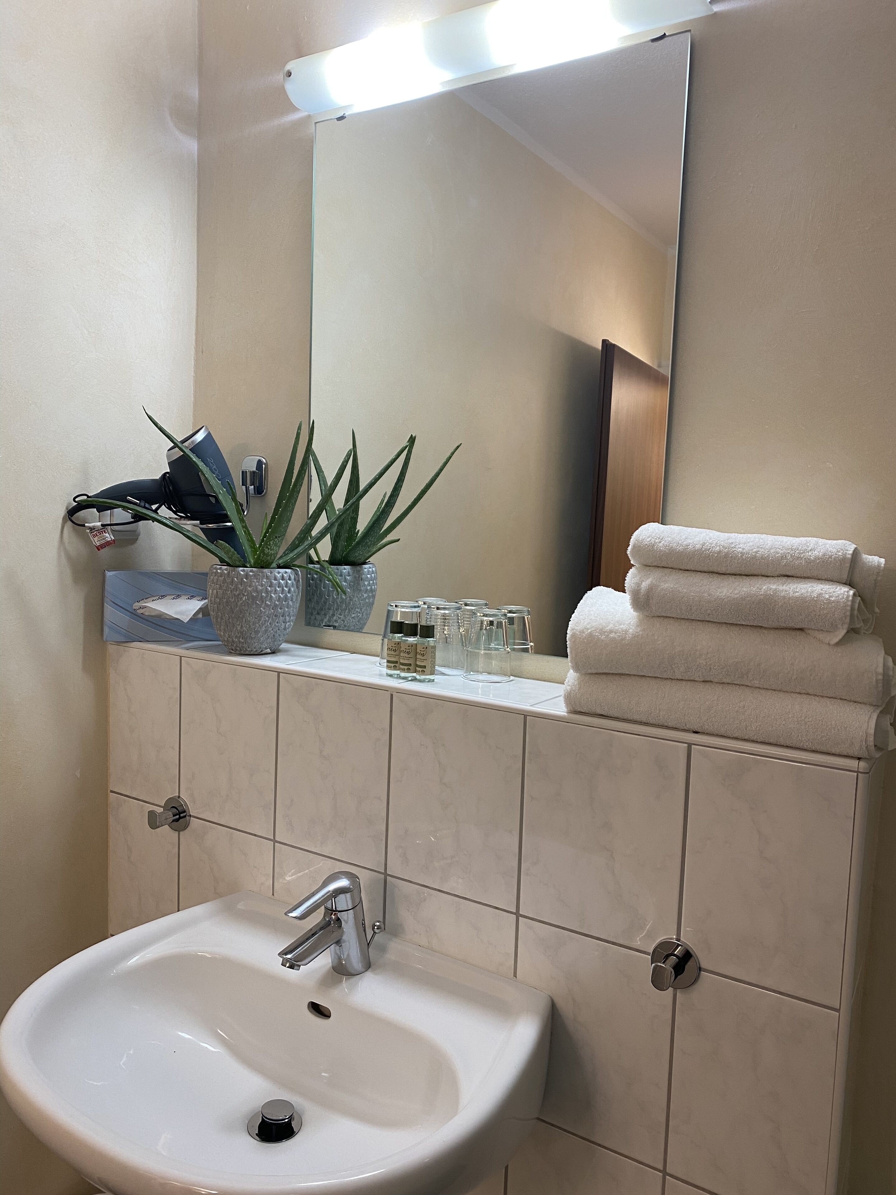 Une salle de bain avec un lavabo blanc, un miroir, un pot d’aloe vera et des serviettes soigneusement pliées.