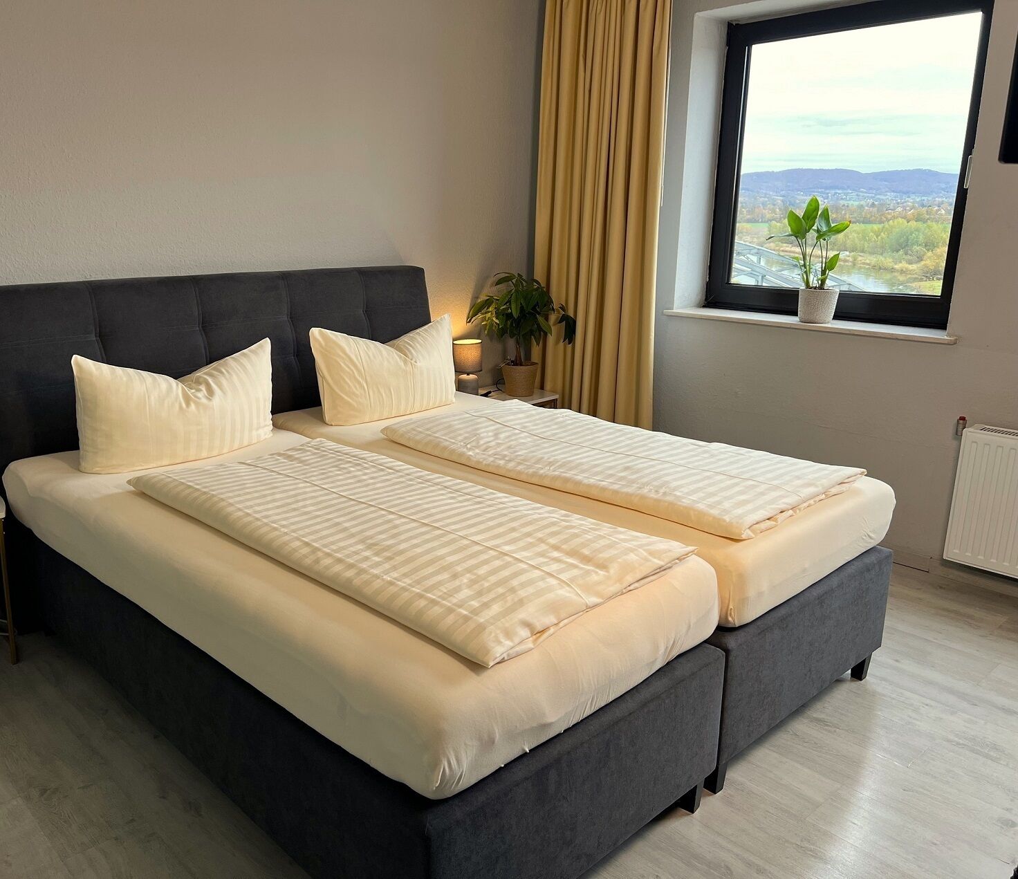 A double bed with a dark headboard, two pillows, and a bedside table with a lamp and a plant.