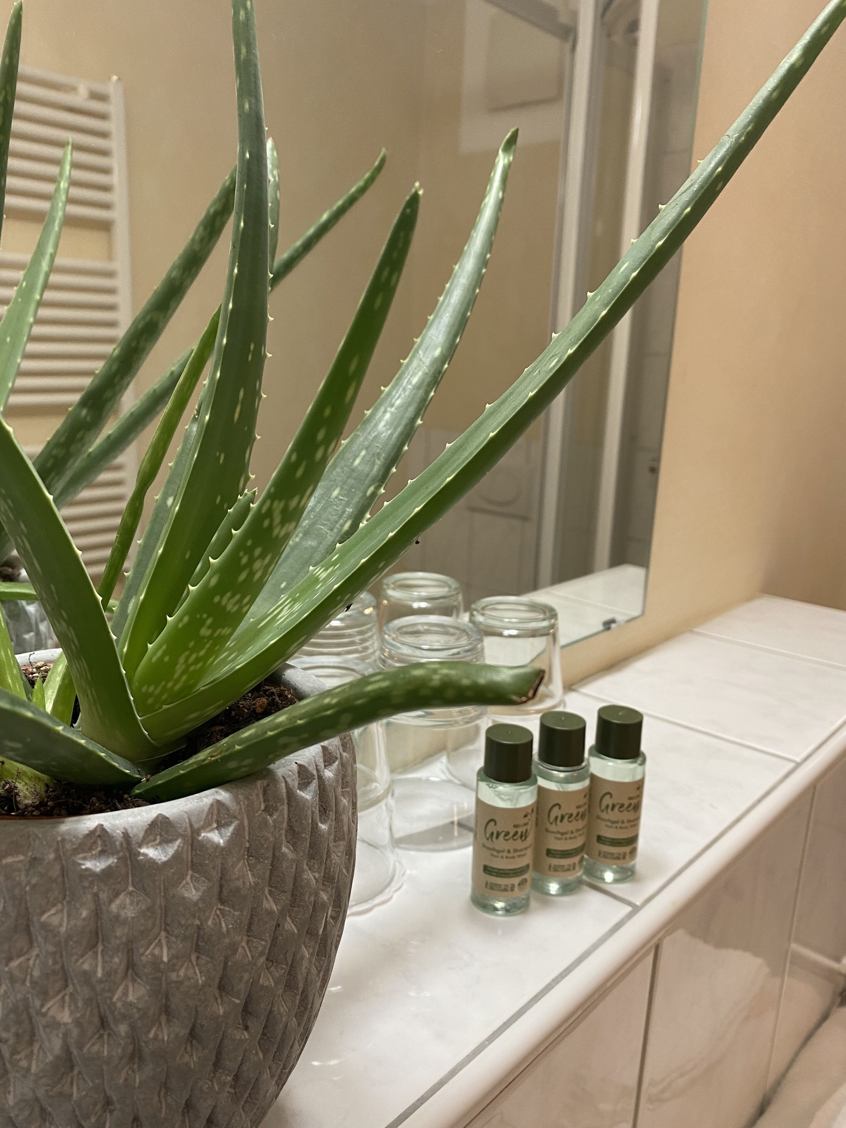 Ein Badezimmer mit einem Topf Aloe Vera, einem Spiegel und drei Flaschen Grüner Tee Essenz auf der Ablagefläche.