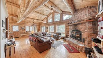 TV, fireplace, DVD player, books