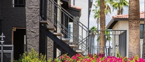 Căn hộ, 1 phòng ngủ | Khuôn viên nơi lưu trú