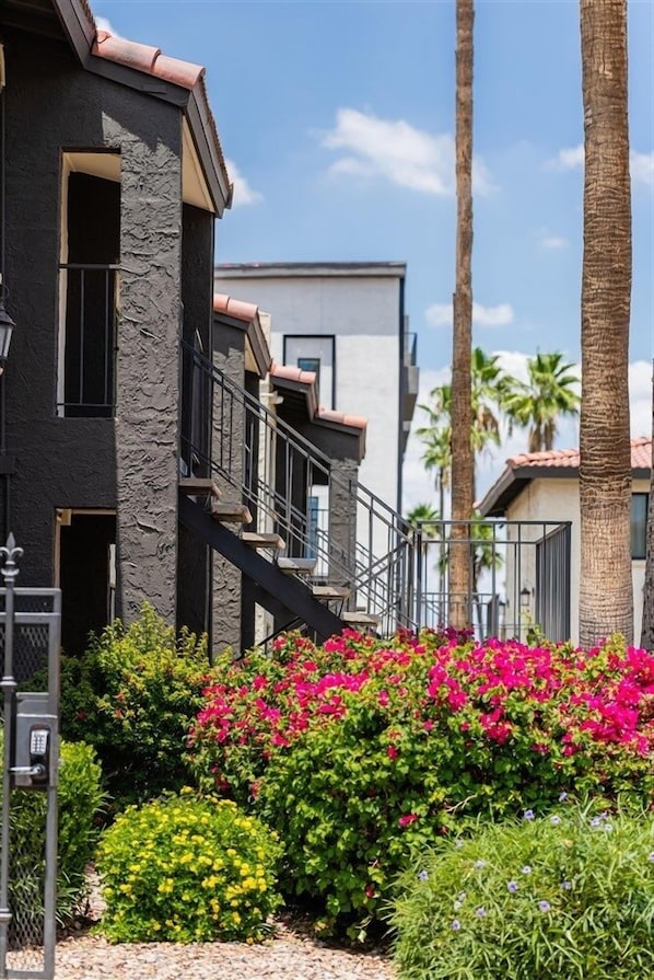 Apartment, 1 Bedroom | Property grounds - 212-Fully Furnished 1BR Suite-Outdoor Pool! by RedAwning (Scottsdale)