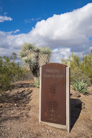 Explore the Desert Botanical Garden, surrounded by native desert flora and a prominent sign in both English and Spanish.