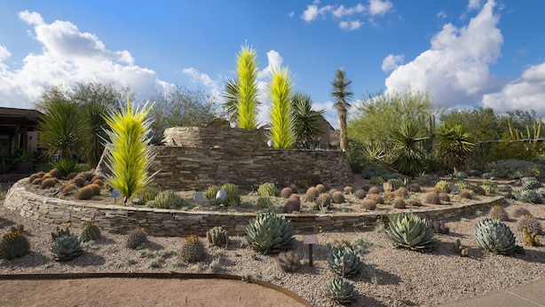 A desert garden with various cacti and succulents, a stone wall, and a clear blue sky. - 141 Fully Furnished Condo by RedAwning (Scottsdale)